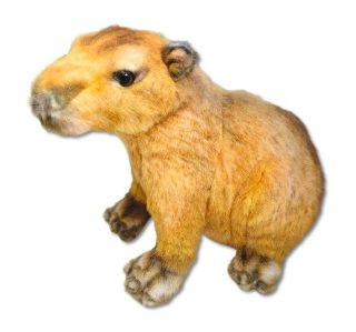 Obrázek z Kapybara sedící plyš 30cm (90) 